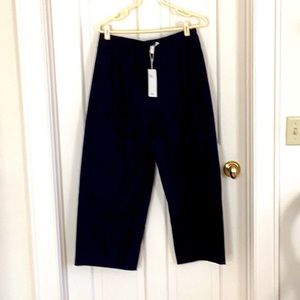 Eileen Fisher ORGANIC COTTON STRETCH POPLIN PLEATED PANT